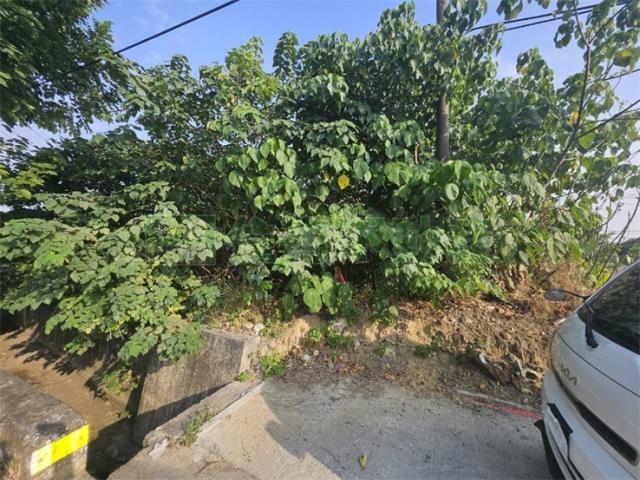 高雄大樹農地-4