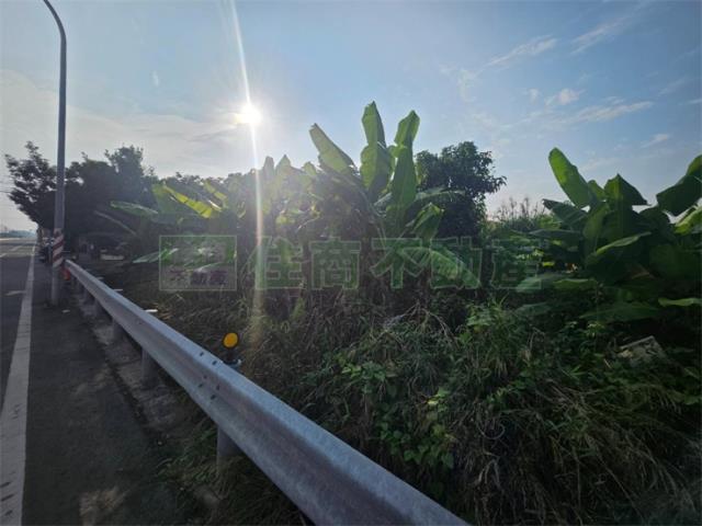 高雄大樹農地-6