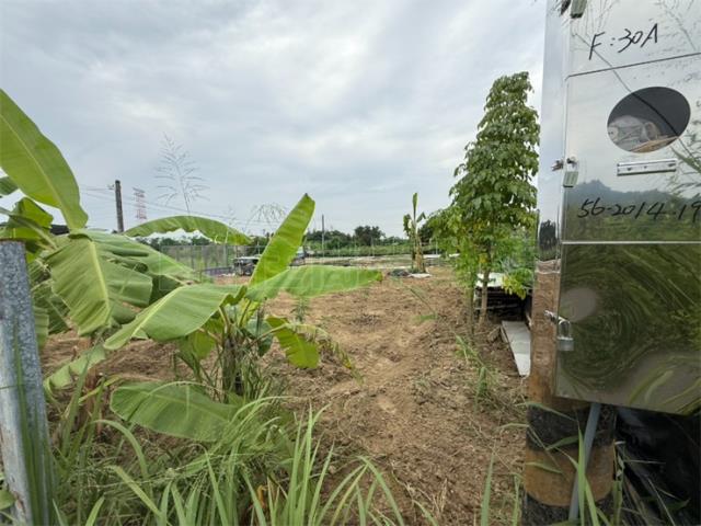 高雄大社農地-7