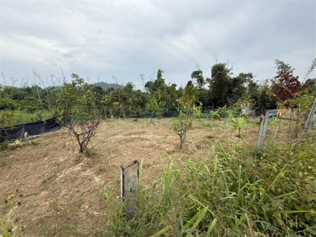 高雄大社農地-7