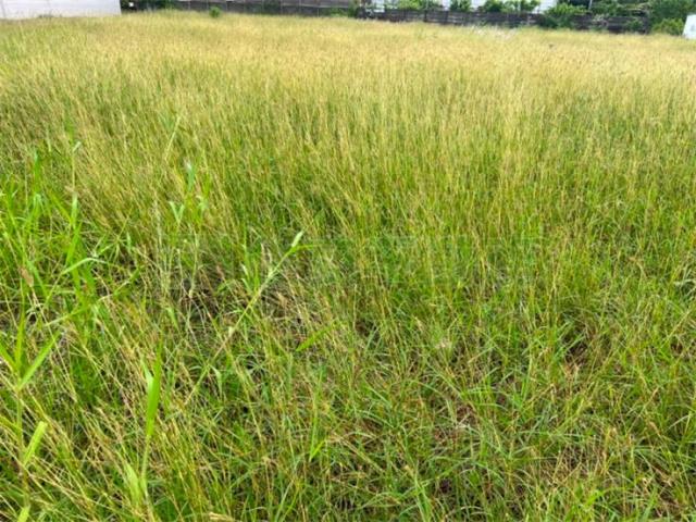 高雄楠梓建地-2