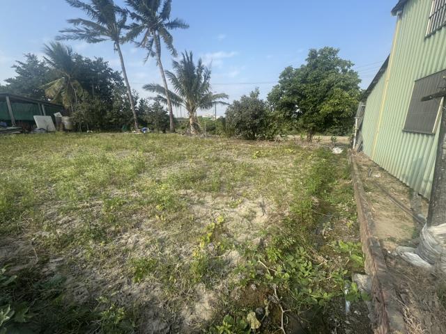 高雄路竹農地-11