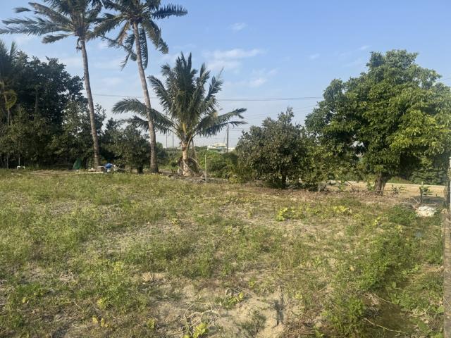 高雄路竹農地-3