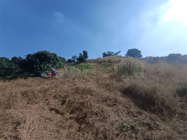 高雄大樹農地-9