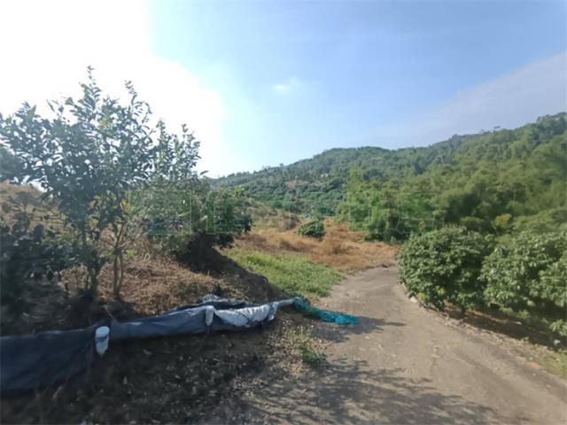 高雄大樹農地-14