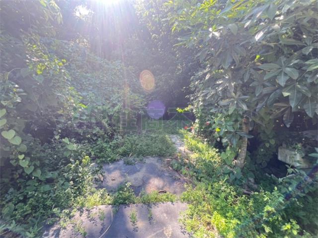 高雄內門農地-9