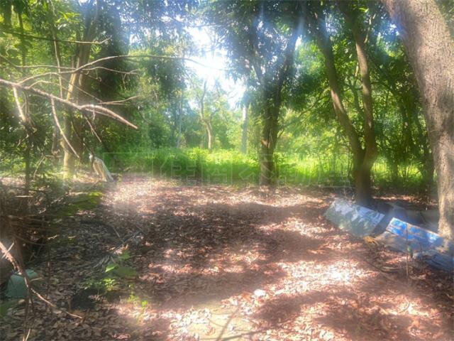 高雄內門農地-3