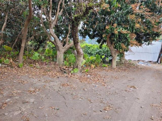 高雄六龜農地-9