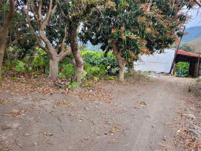 高雄六龜農地-10