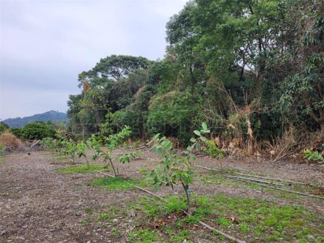 高雄六龜農地-2