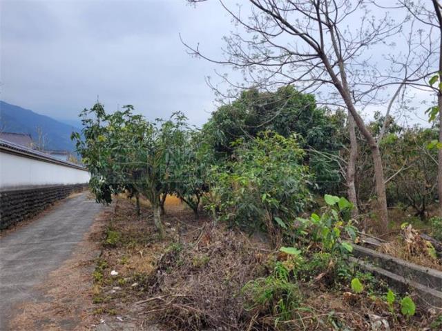 高雄六龜農地-1