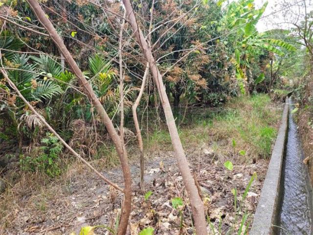 高雄六龜農地-3