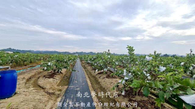 高雄燕巢農地-8