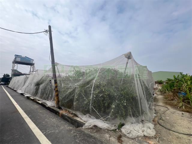 高雄岡山農地-1