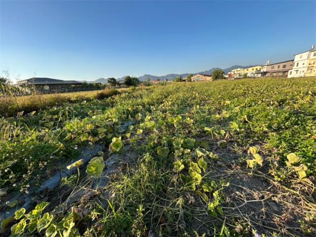 高雄美濃農地-2