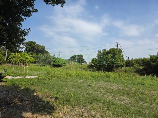 高雄永安農地-2