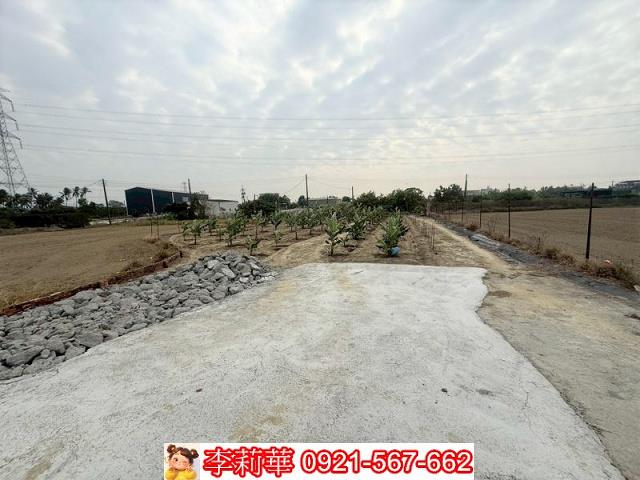 高雄路竹農地-3