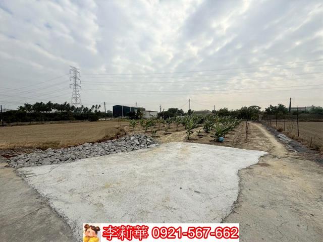 高雄路竹農地-4