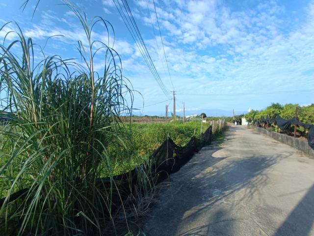 高雄農地-13