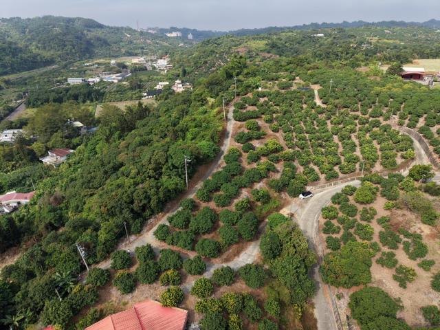 高雄大樹農地-4