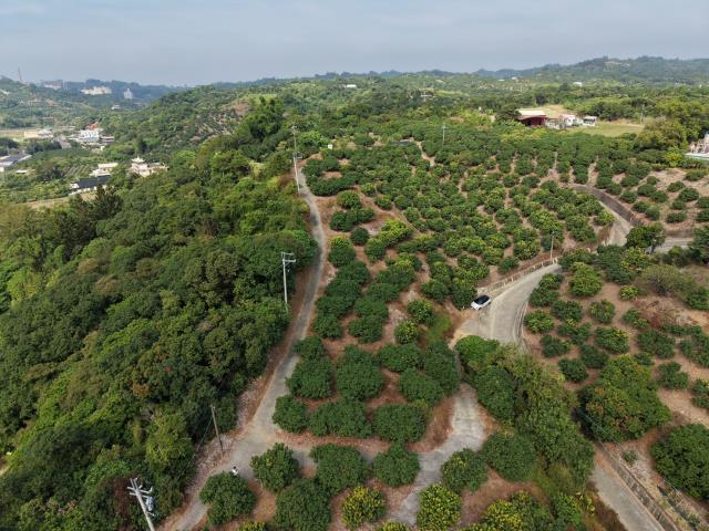 高雄大樹農地-6