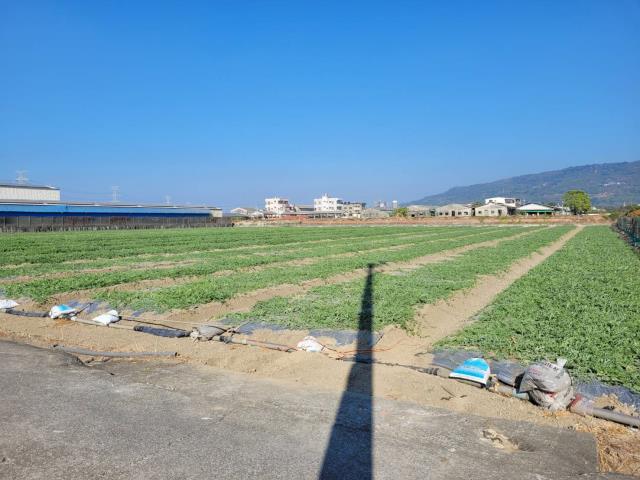 高雄農地-3