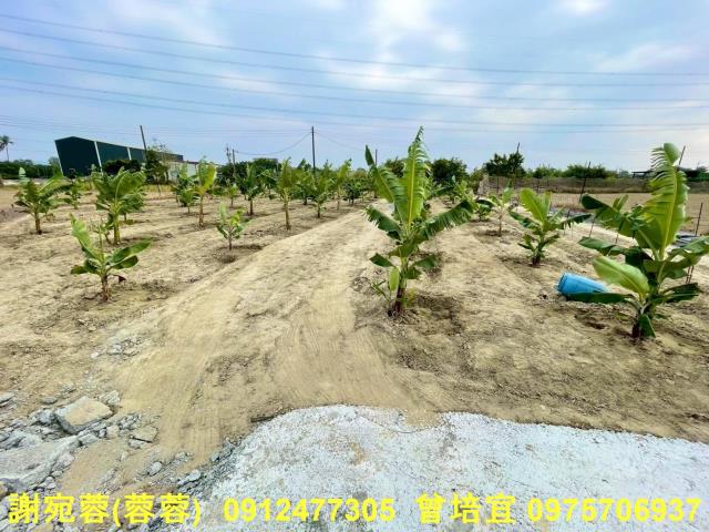 高雄農地-3