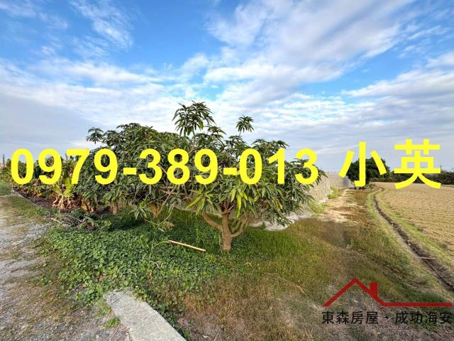 高雄路竹農地-1