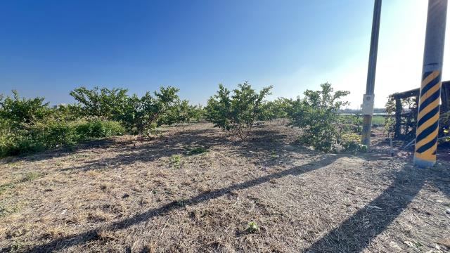 高雄湖內農地-4