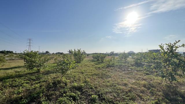 高雄湖內農地-10