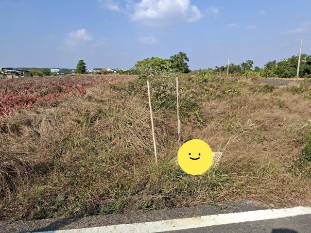 高雄農地-3