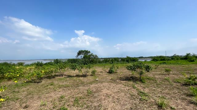 高雄旗山農地-4