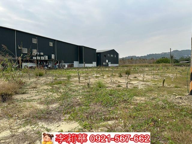 燕巢農地-5