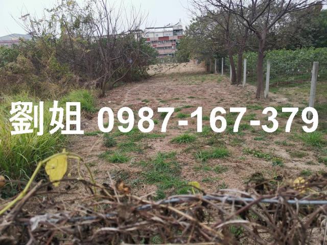 高雄建地-0