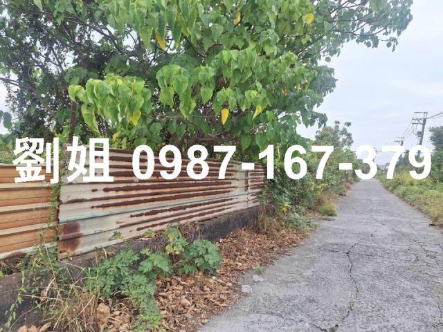 高雄永安農地-1