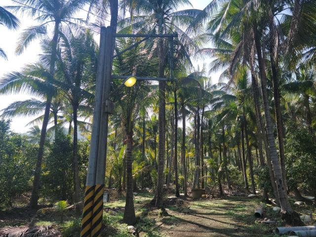 高雄旗山農地-0