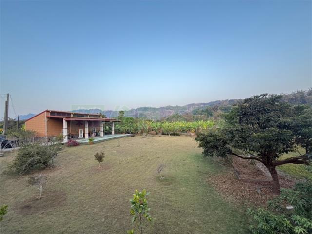 高雄內門農地-0