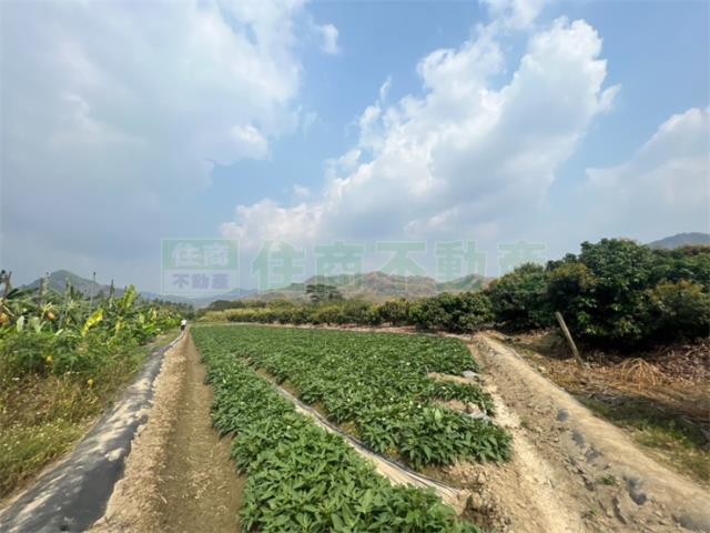 高雄美濃農地-0