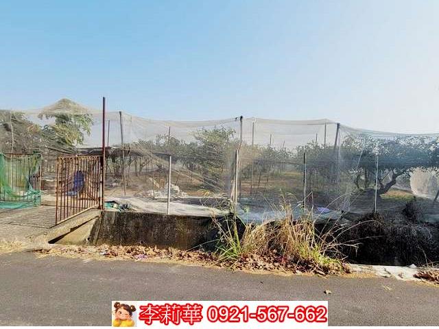 高雄燕巢農地-2