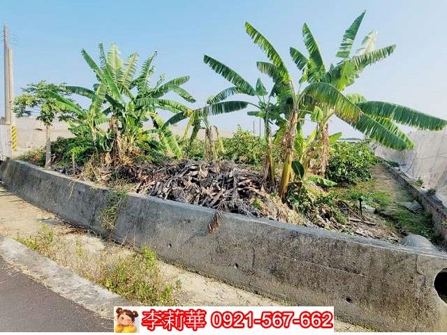 高雄燕巢農地-4