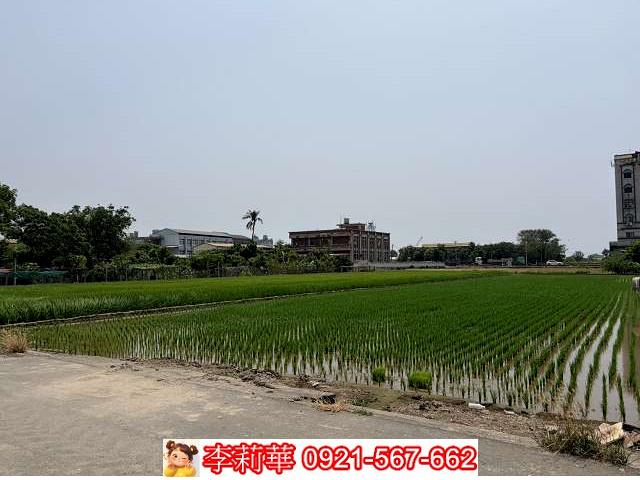 高雄林園農地-1