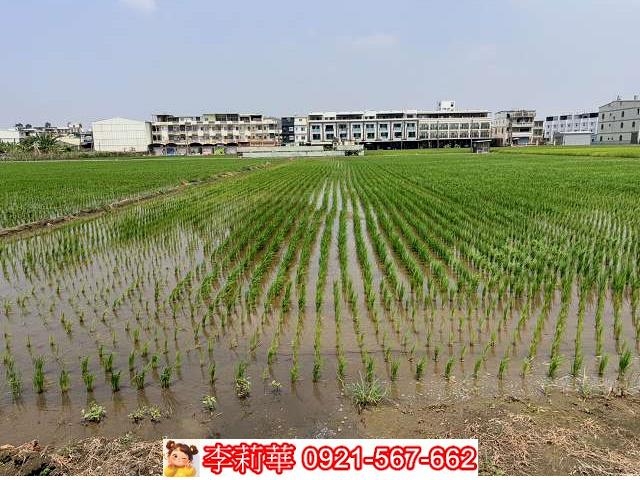 高雄林園農地-4