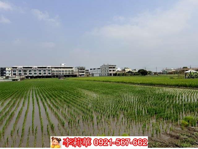 高雄林園農地-5