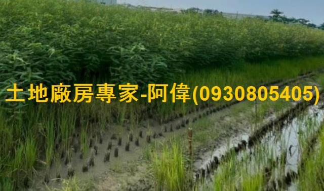 高雄大寮農地-0