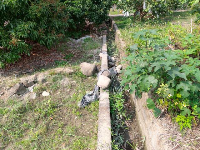 高雄美濃農地-1