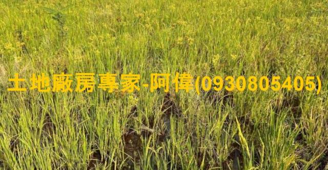 高雄農地-0