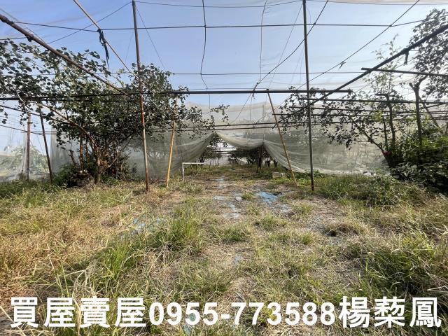 高雄燕巢農地-13