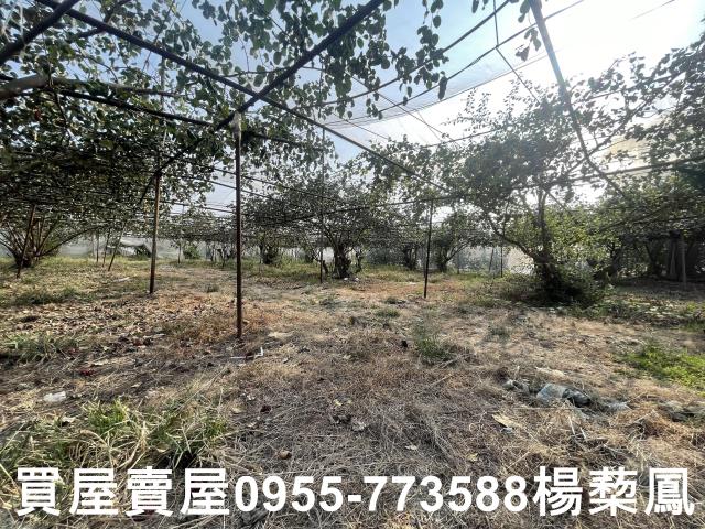 高雄燕巢農地-3