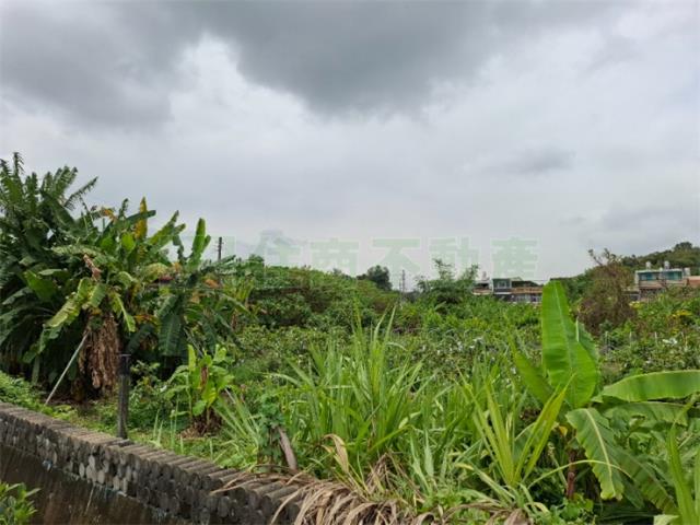 高雄農地-8