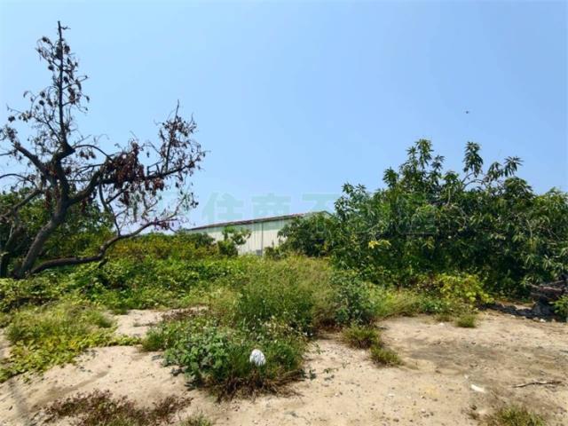 高雄湖內農地-0